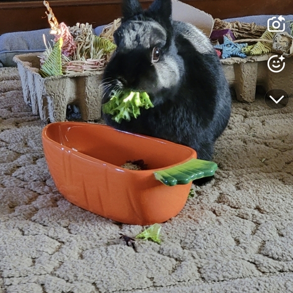 🐰SALE🐰 10mm Golden Black Agate Bracelet - Picture 10 of 12